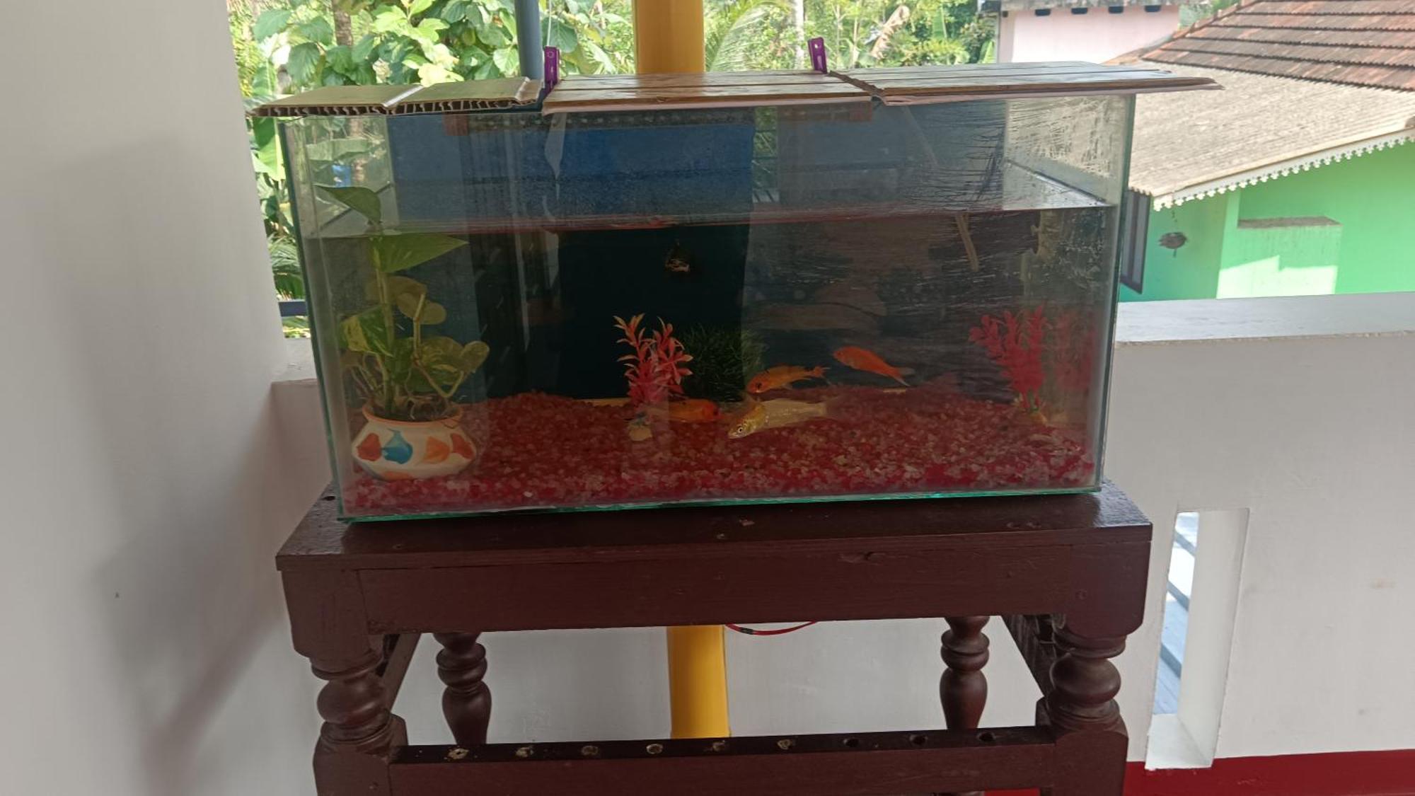 Aidens Mararikulam